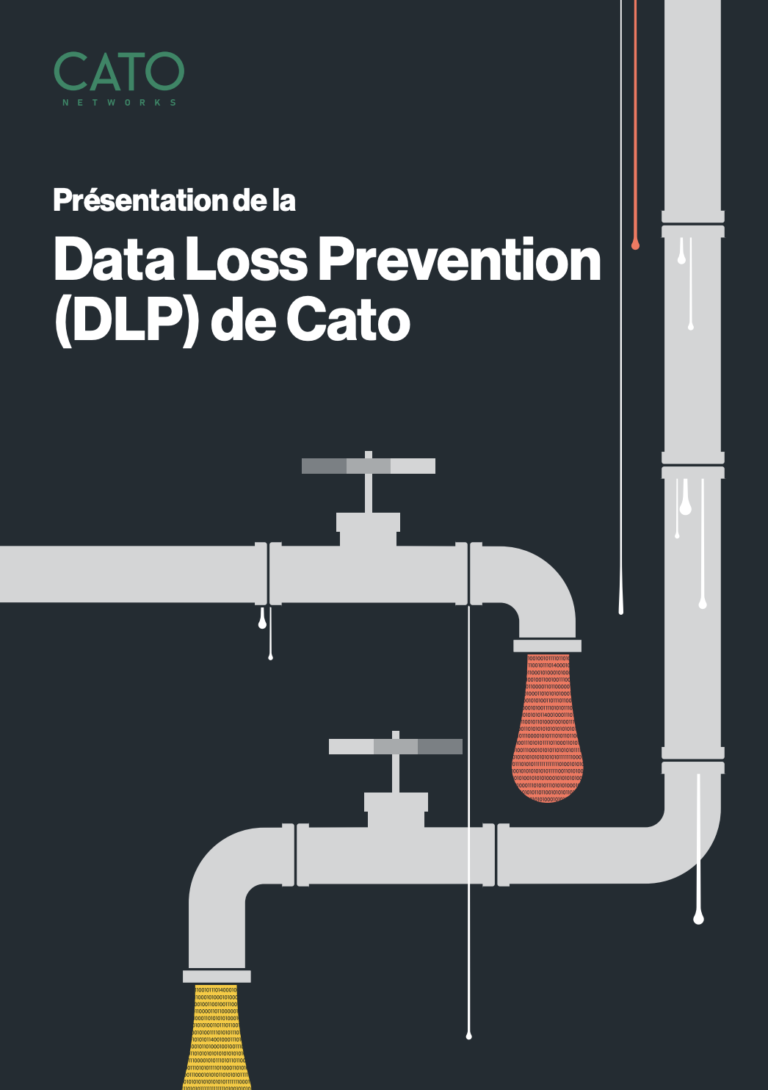 Présentation de la Data Loss Prevention (DLP) de Cato
