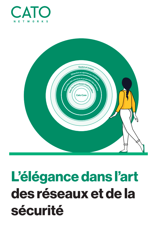 L’élégance dans l’art  des réseaux et de la  sécurité